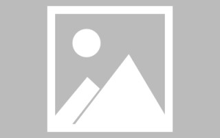 灌南关于网站建设免费（关于网站建设免费的通知）